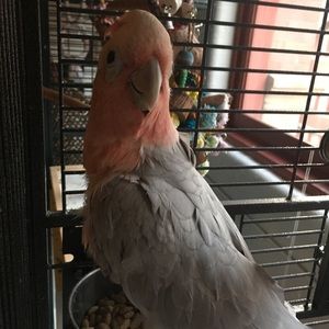 Meet your Posher, Andrea